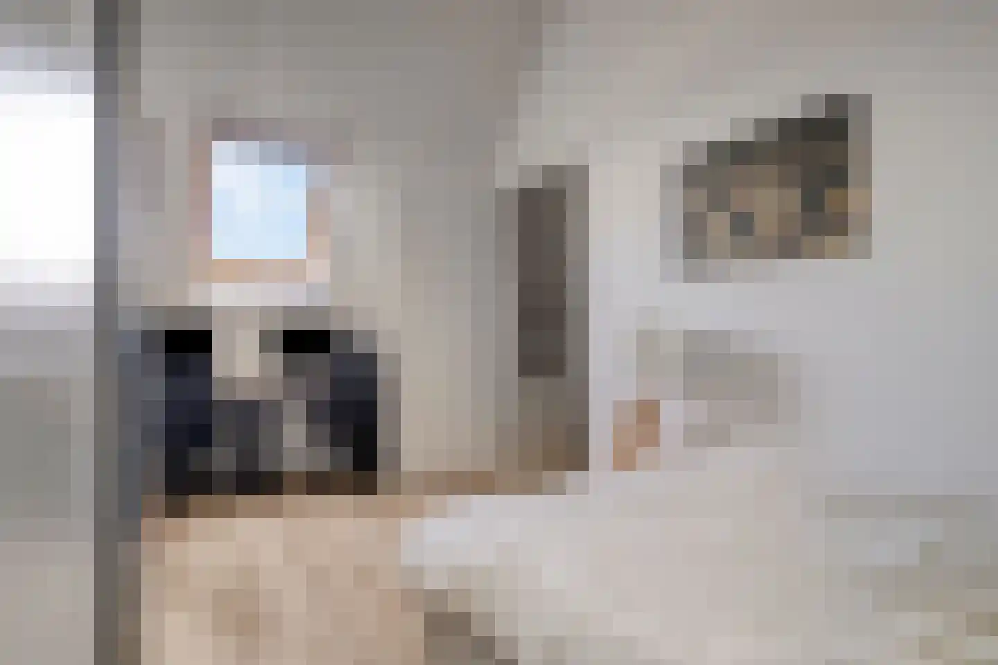 Berlagezoom 21 Bergschenhoek thumbnail 33