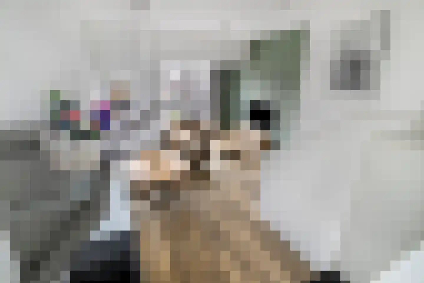 Berlagezoom 21 Bergschenhoek thumbnail 7