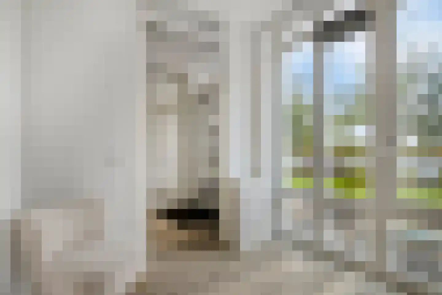 Berlagezoom 21 Bergschenhoek thumbnail 8