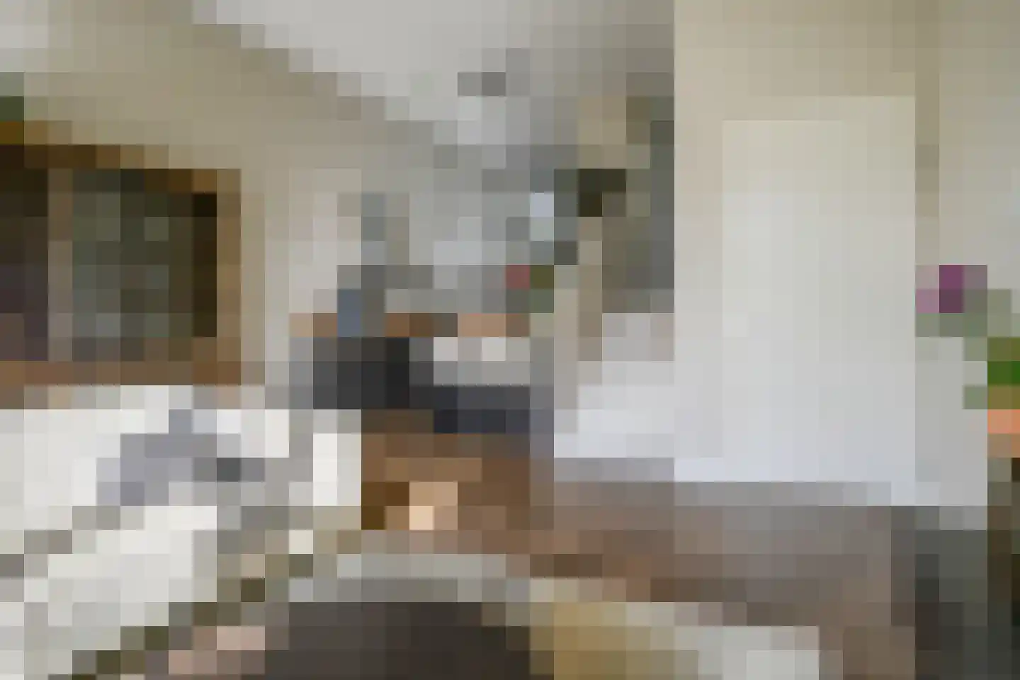 Berlagezoom 23 Bergschenhoek thumbnail 10