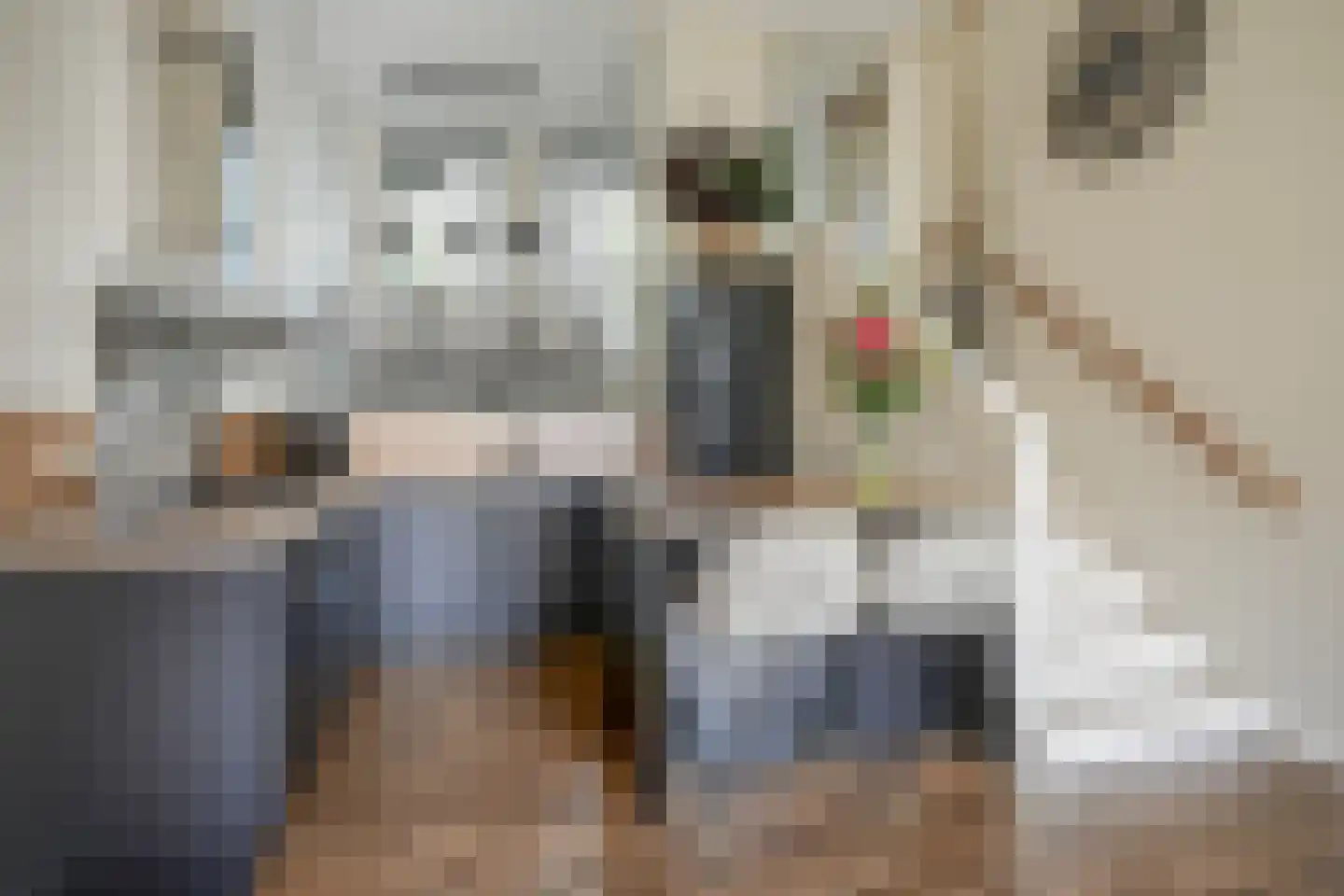Berlagezoom 23 Bergschenhoek thumbnail 12