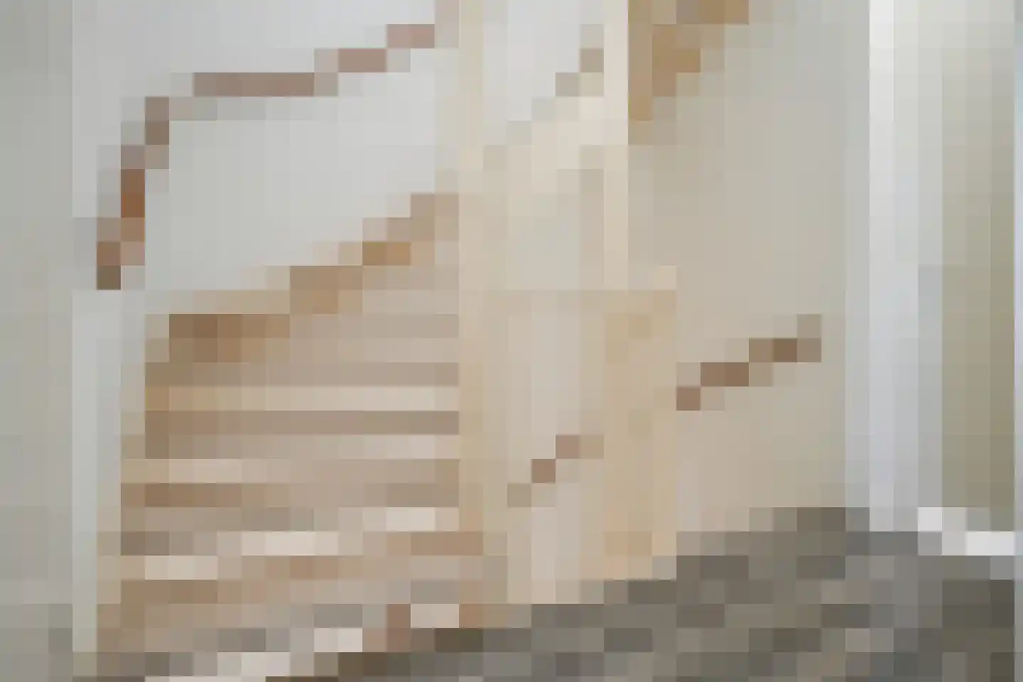 Berlagezoom 23 Bergschenhoek thumbnail 19