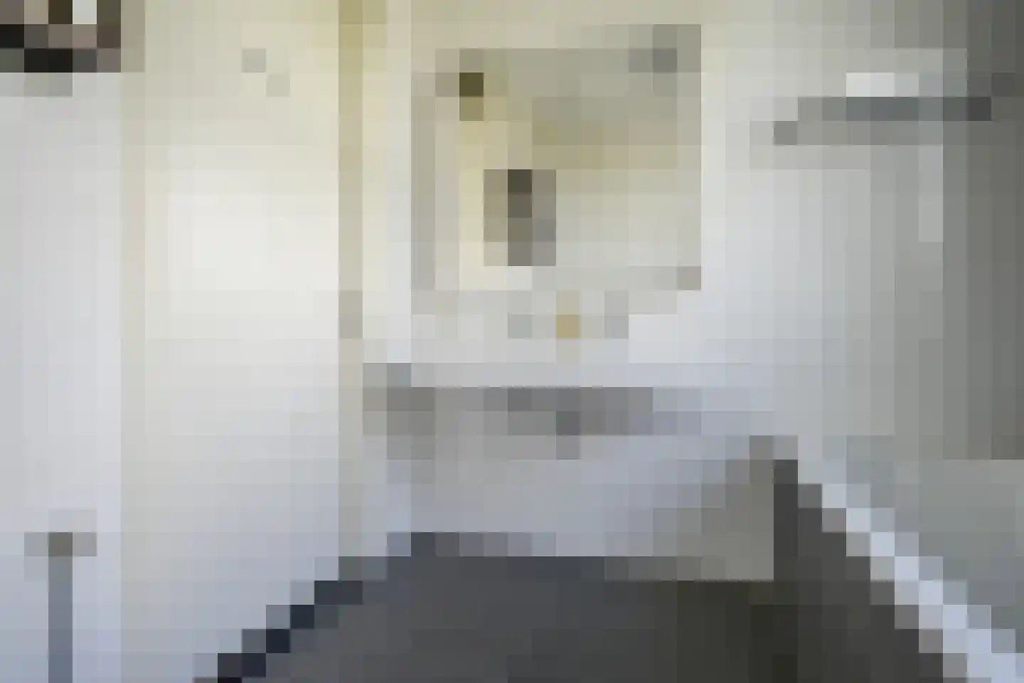 Berlagezoom 23 Bergschenhoek thumbnail 29