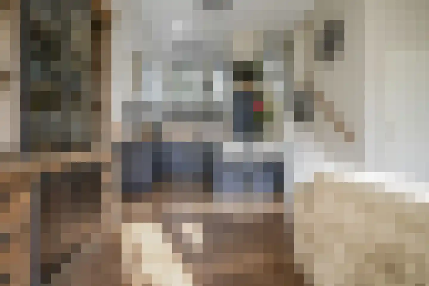 Berlagezoom 23 Bergschenhoek thumbnail 8
