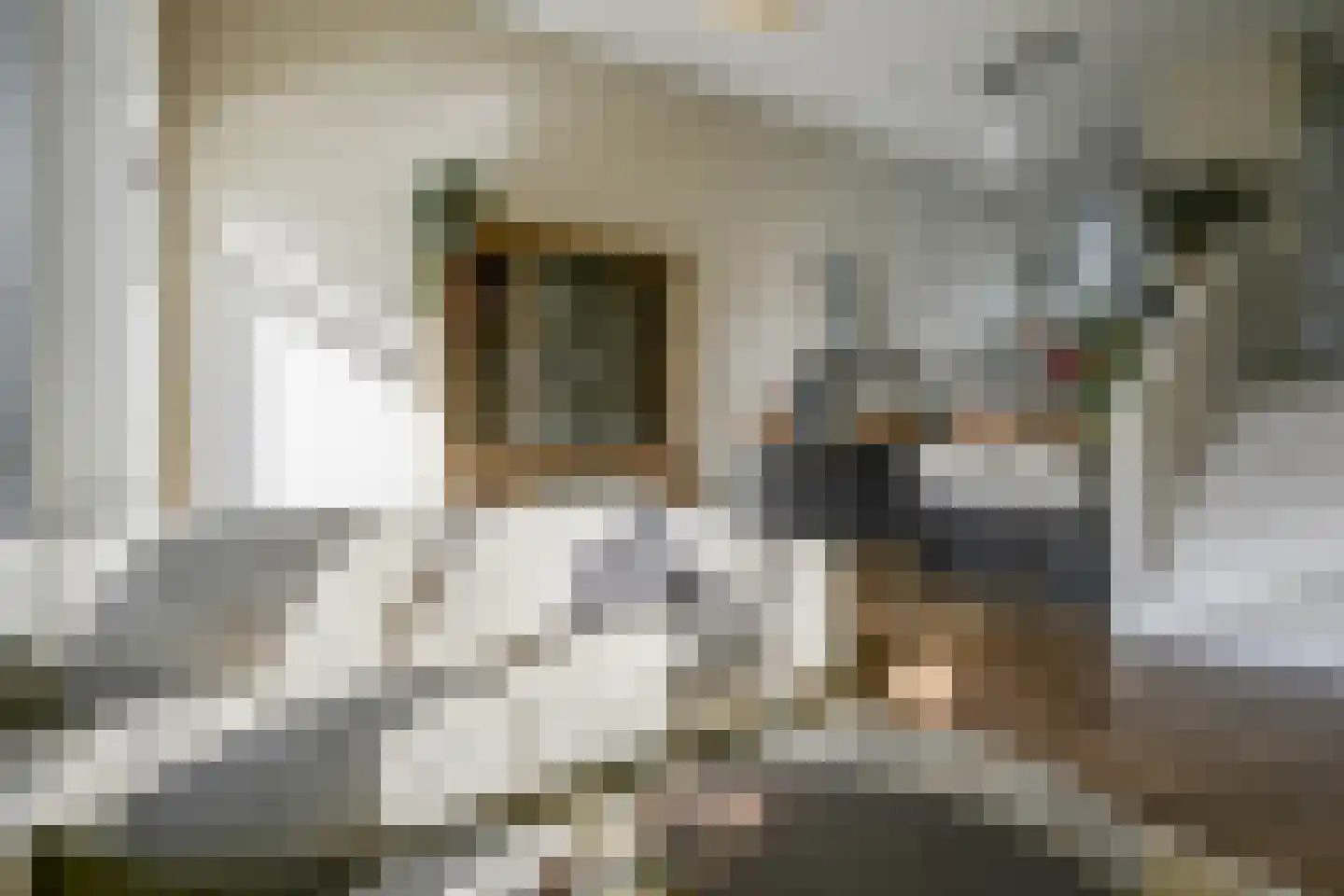 Berlagezoom 23 Bergschenhoek thumbnail 9