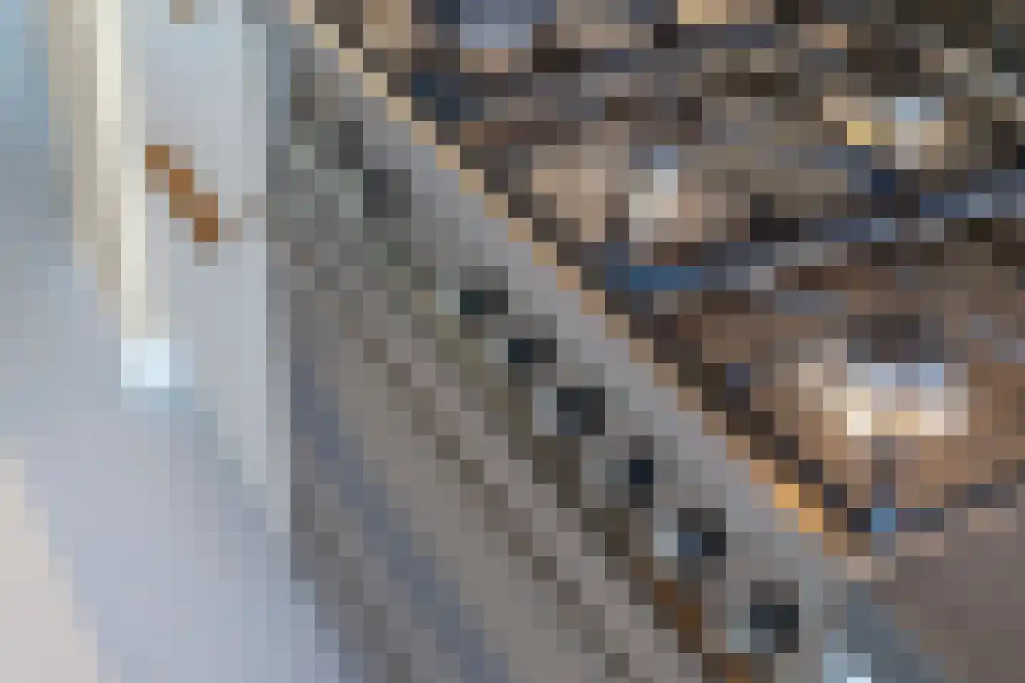Berlagezoom 39 Bergschenhoek thumbnail 14