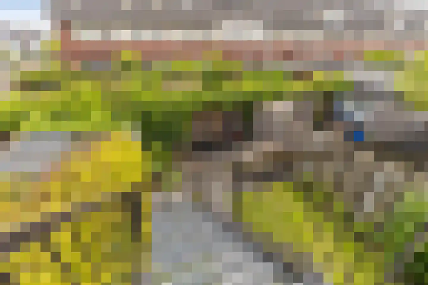 Berlagezoom 39 Bergschenhoek thumbnail 19
