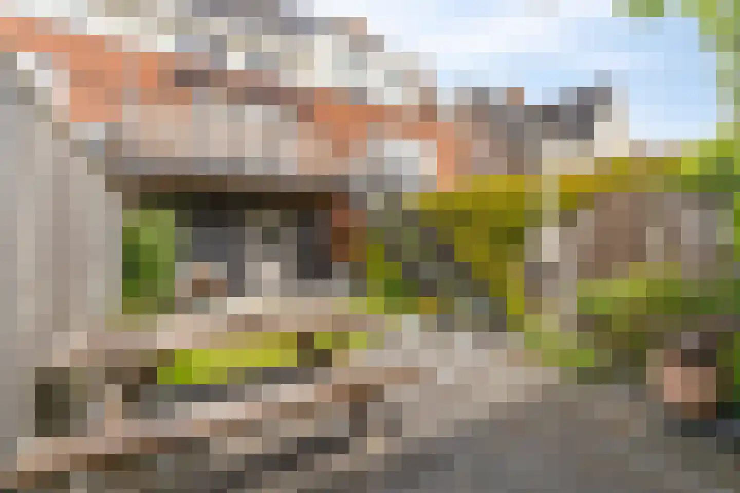 Berlagezoom 39 Bergschenhoek thumbnail 21