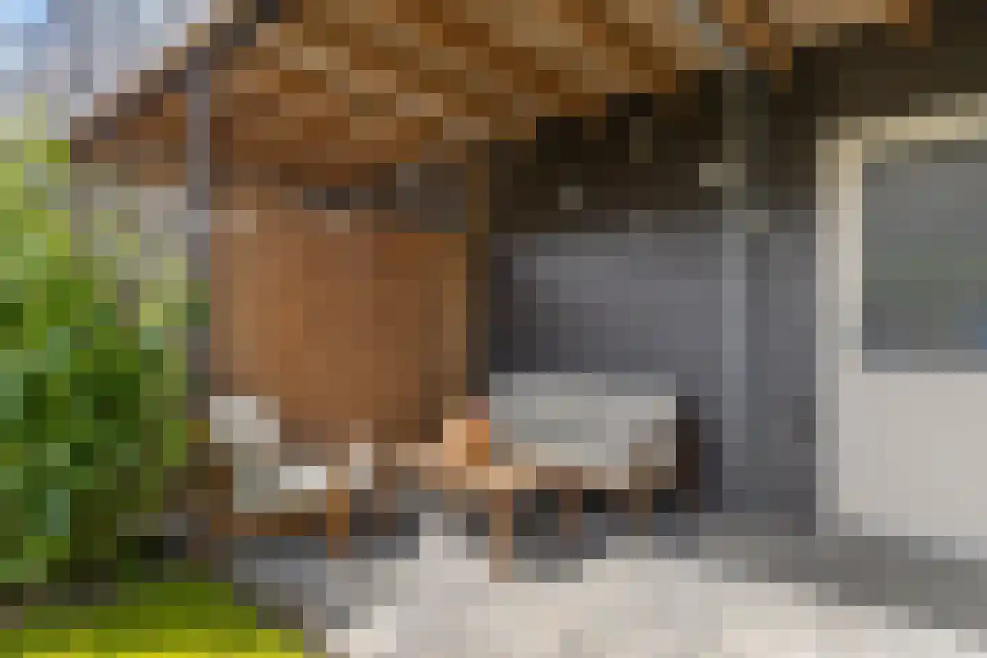 Berlagezoom 39 Bergschenhoek thumbnail 22