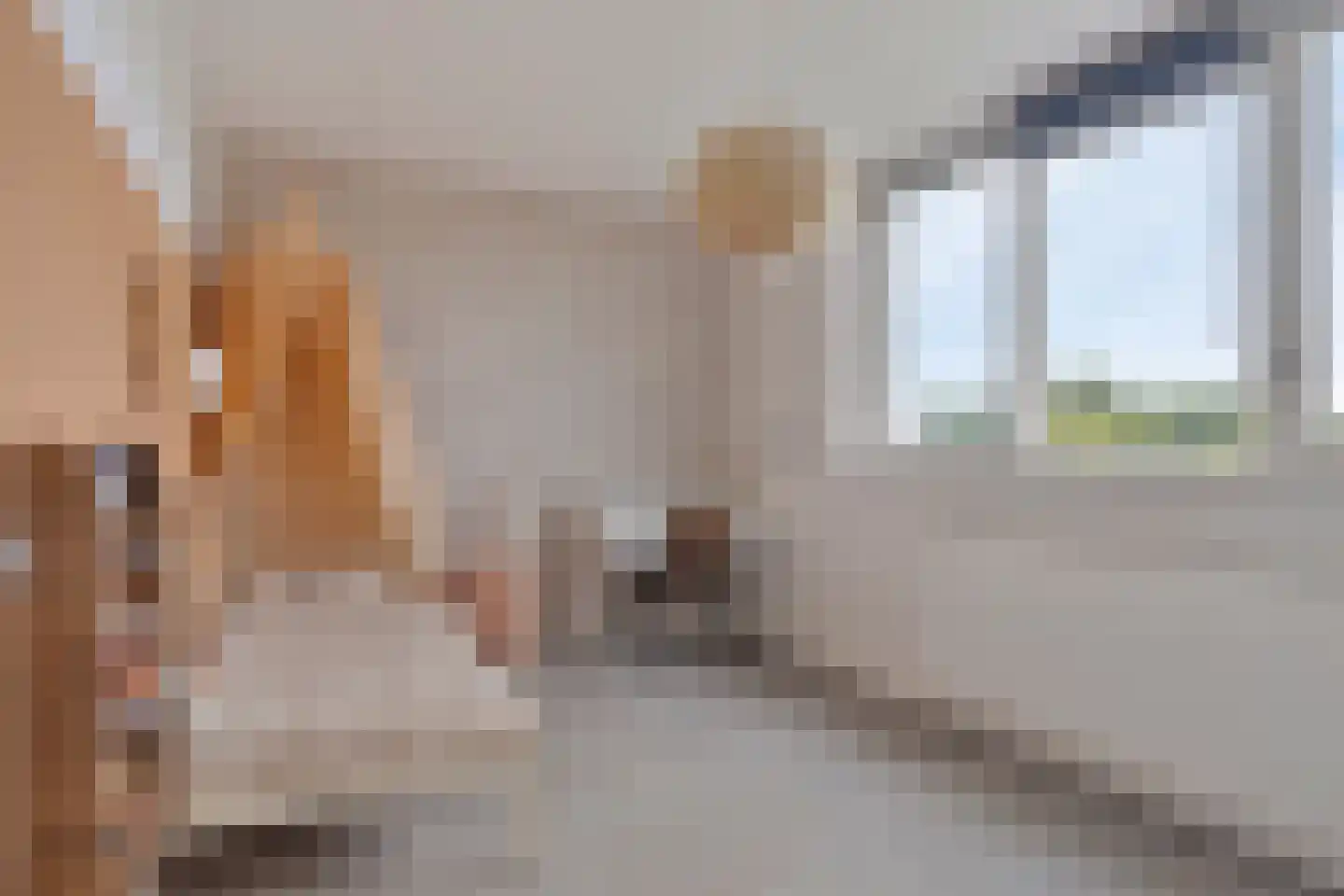 Berlagezoom 39 Bergschenhoek thumbnail 26