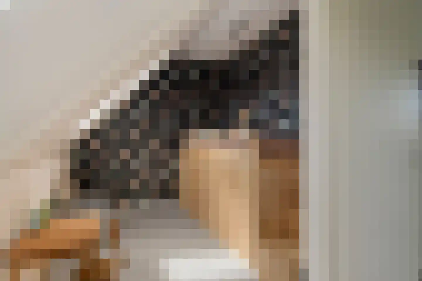 Berlagezoom 39 Bergschenhoek thumbnail 40
