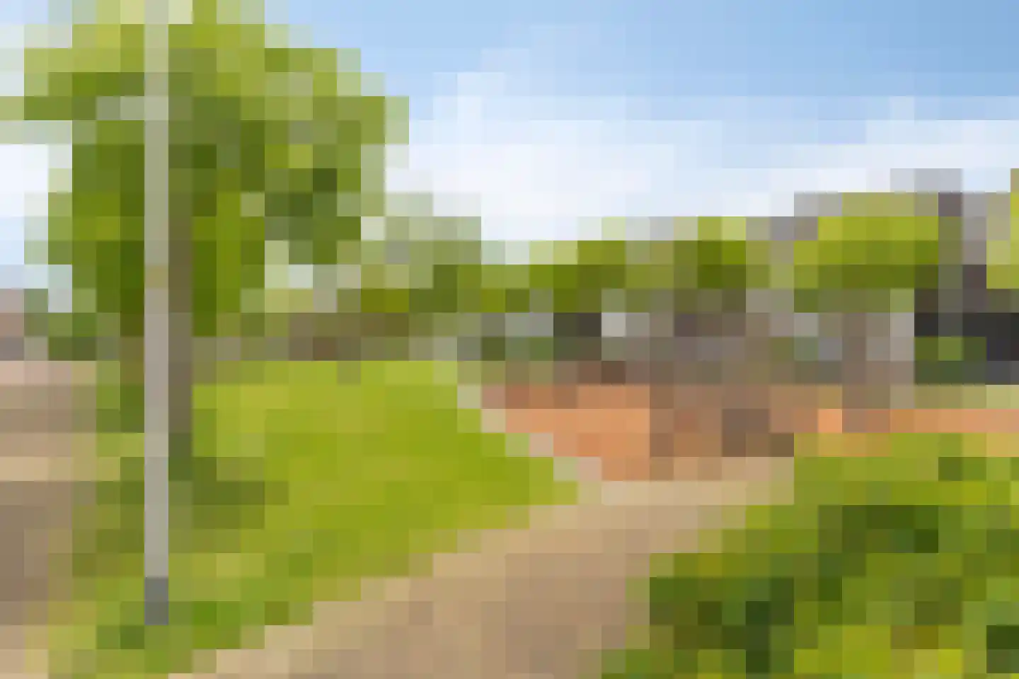 Berlagezoom 39 Bergschenhoek thumbnail 42