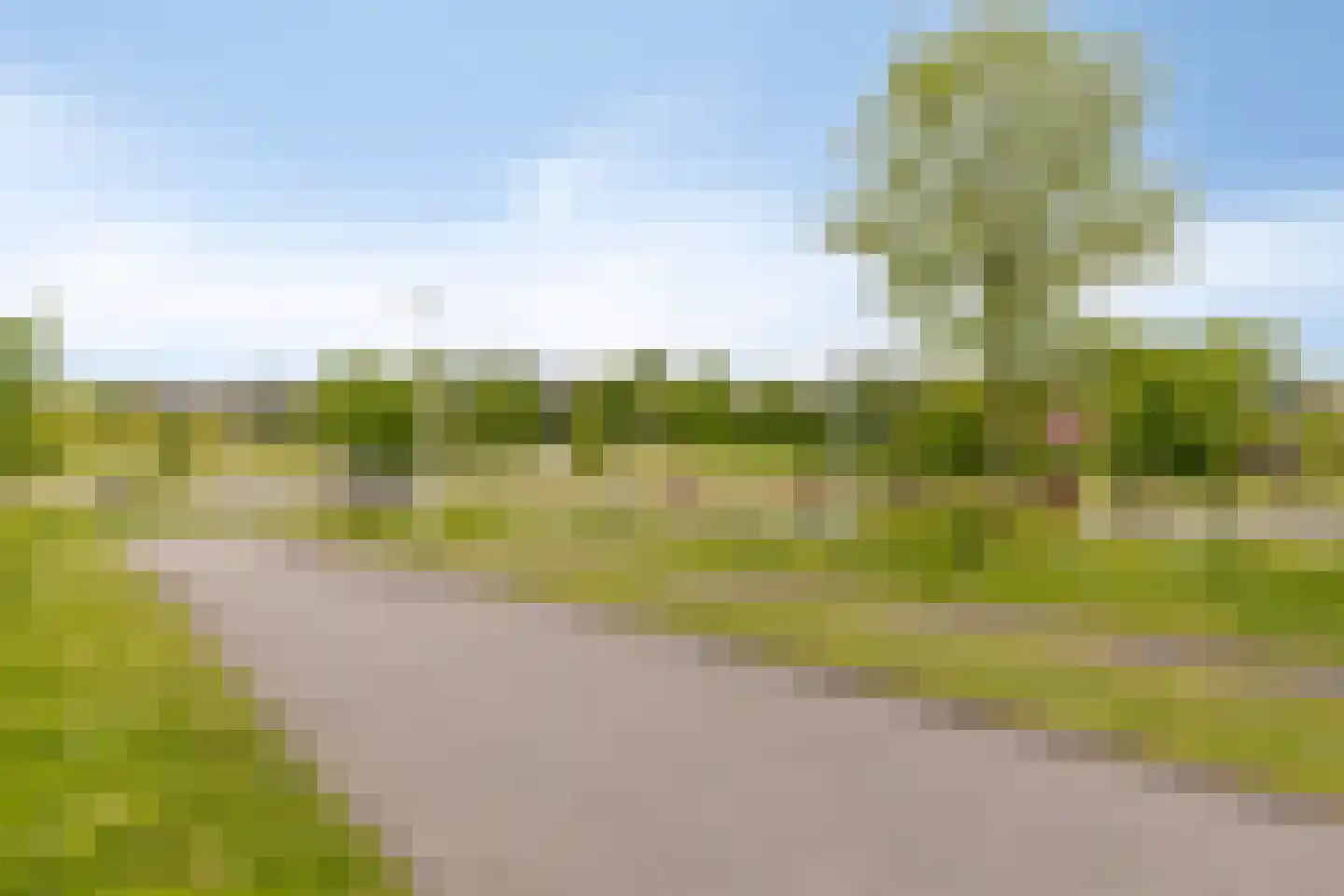 Berlagezoom 39 Bergschenhoek thumbnail 43