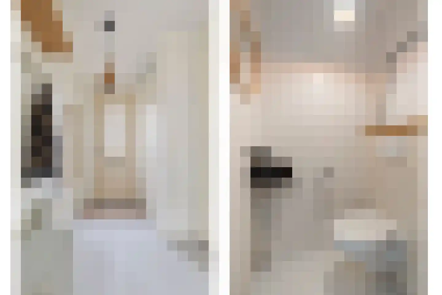 Berlagezoom 39 Bergschenhoek thumbnail 7