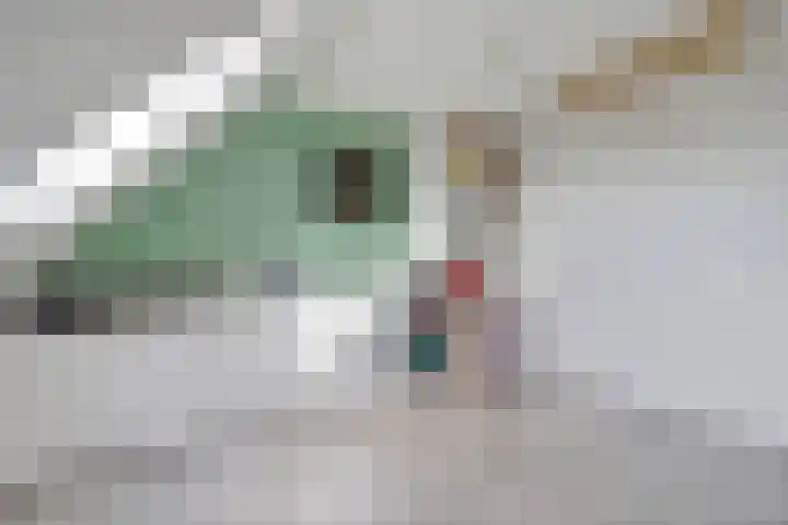 Berlagezoom 63 Bergschenhoek thumbnail 20