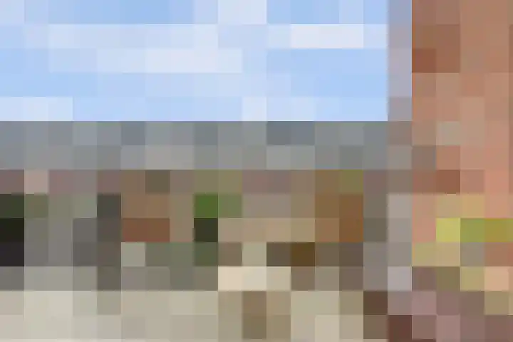 Berlagezoom 63 Bergschenhoek thumbnail 23
