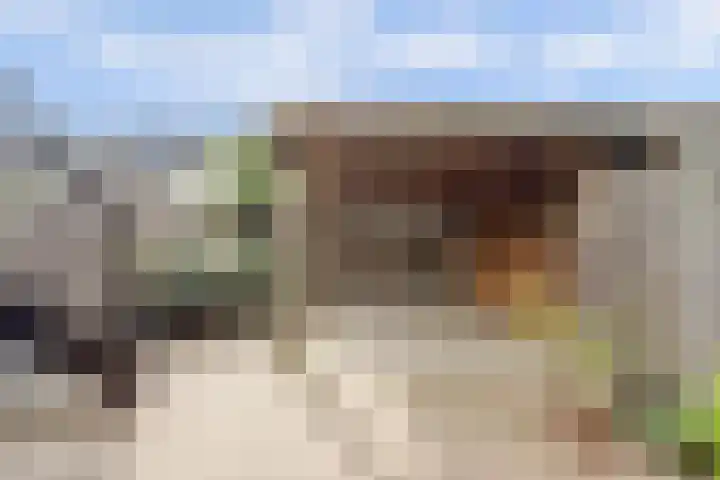 Berlagezoom 63 Bergschenhoek thumbnail 24