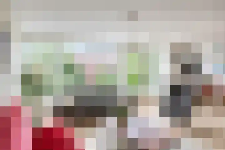 Berlengakade 50 Woerden thumbnail 9
