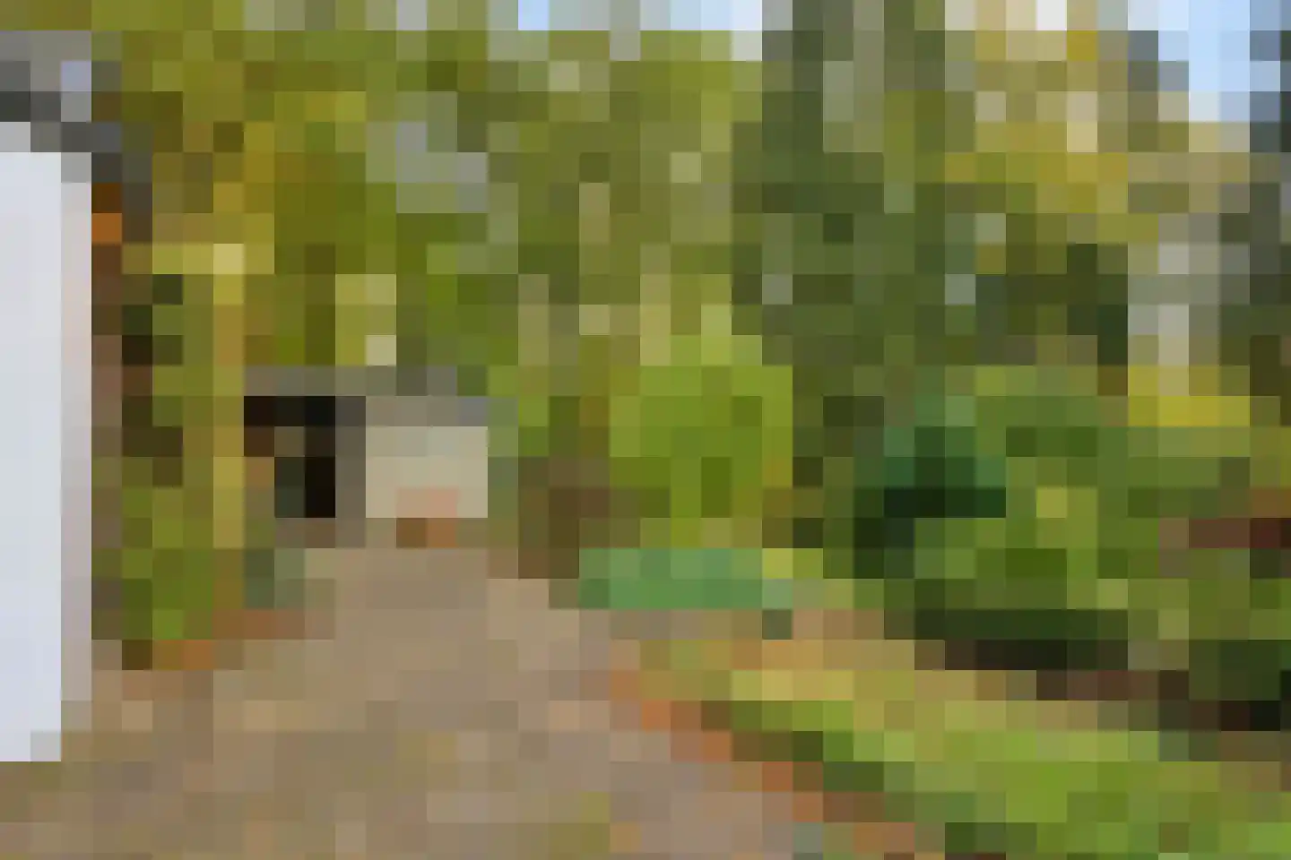 Berlicumseweg 13 Rosmalen thumbnail 11