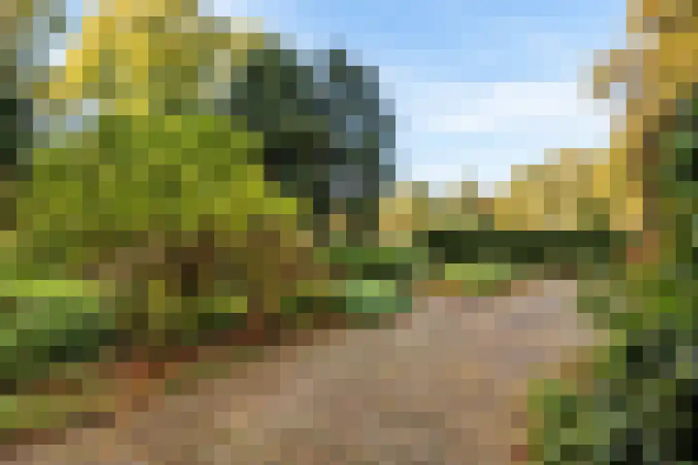 Berlicumseweg 13 Rosmalen thumbnail 12