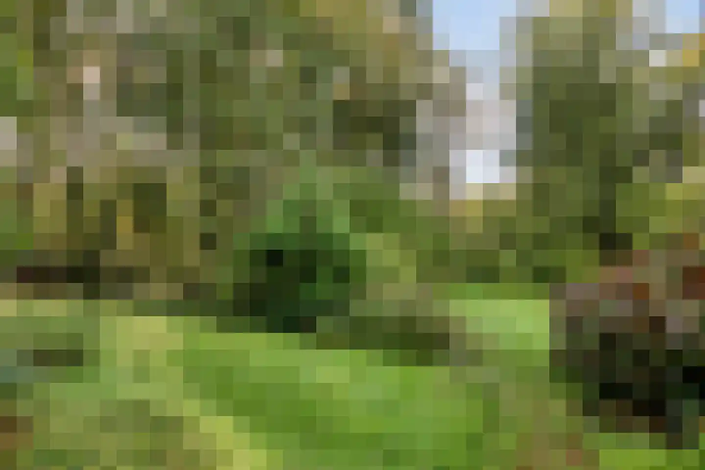 Berlicumseweg 13 Rosmalen thumbnail 13