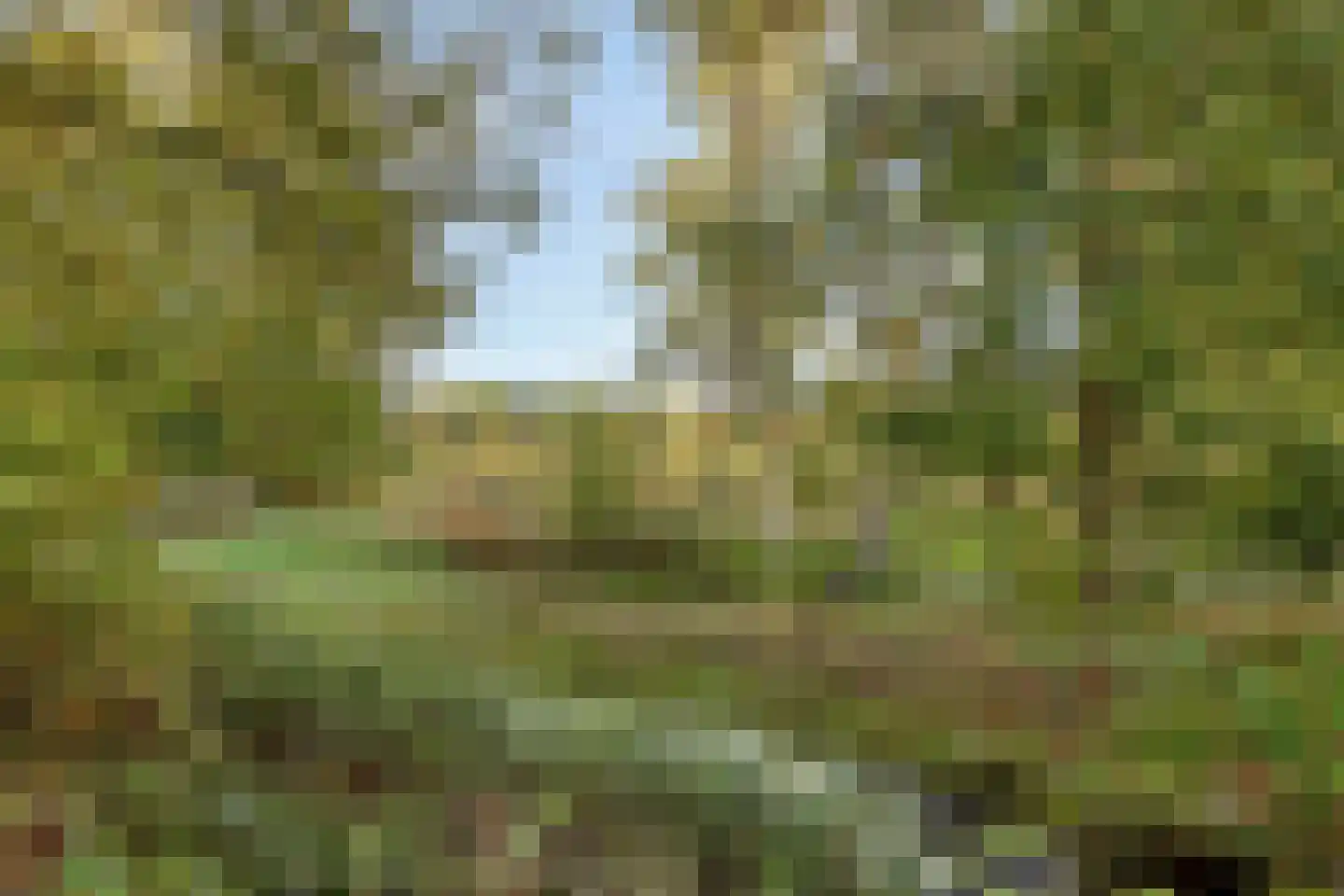 Berlicumseweg 13 Rosmalen thumbnail 31
