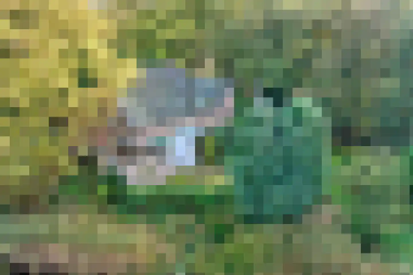 Berlicumseweg 13 Rosmalen thumbnail 34