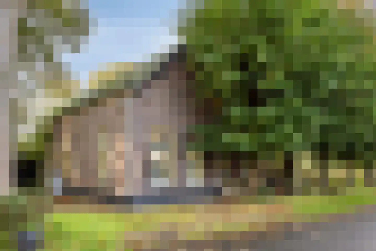 Berlicumseweg 13 Rosmalen thumbnail 5