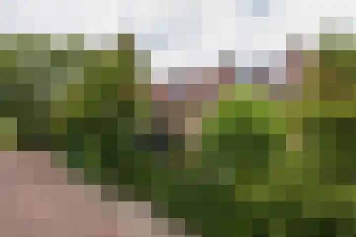 Berlicumstraat 12 Oegstgeest thumbnail 43