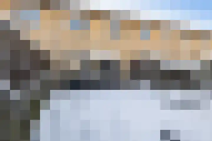 Berlijnhof 4 Woerden thumbnail 20