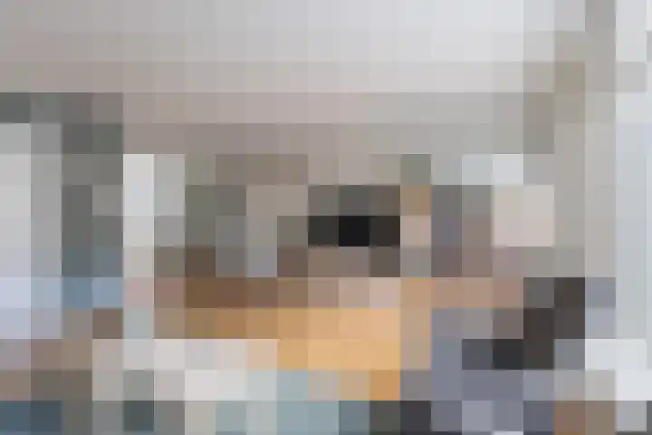 Berlijnhof 9 Woerden thumbnail 10
