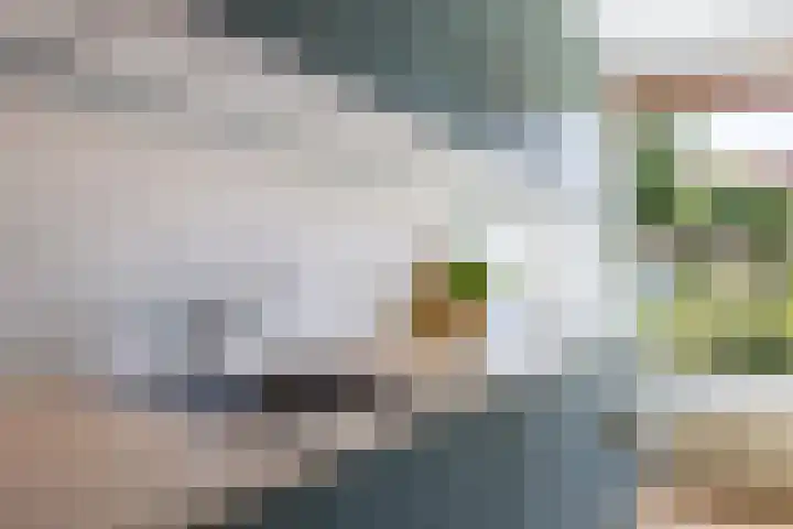 Berlijnhof 9 Woerden thumbnail 15