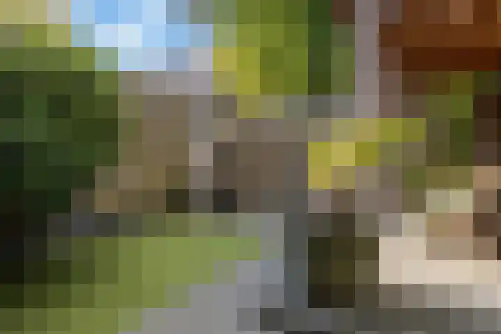 Berlijnseplein 40 Zwijndrecht thumbnail 25