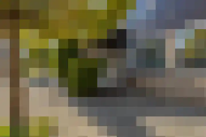 Berlijnseplein 40 Zwijndrecht thumbnail 4