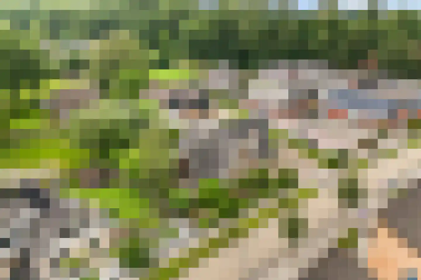 Berlijnstraat 18 Hengelo thumbnail 5