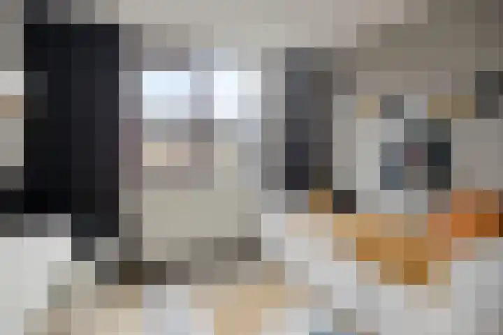 Berlijnstraat 35 Hengelo thumbnail 34