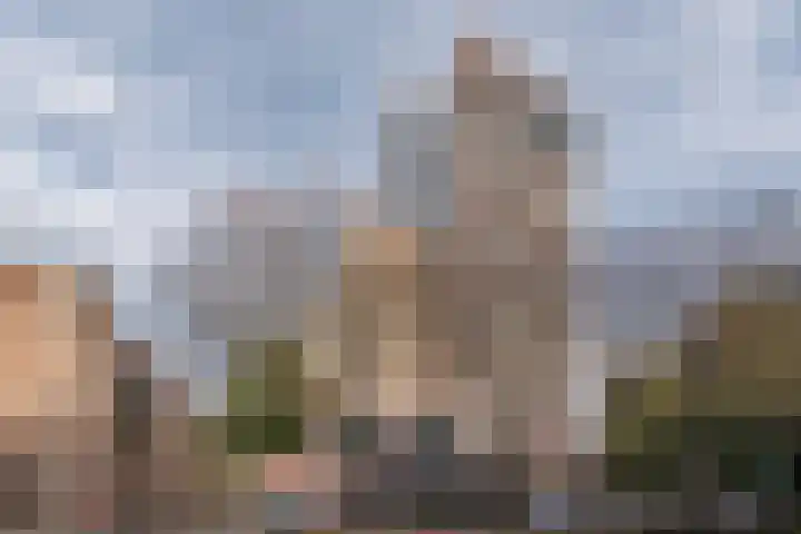 Berlijnstraat 81 Zoetermeer thumbnail 13