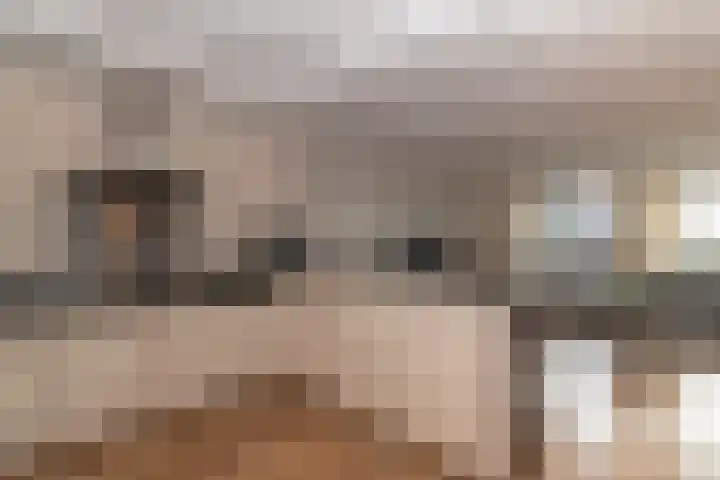 Berlijnstraat 81 Zoetermeer thumbnail 8
