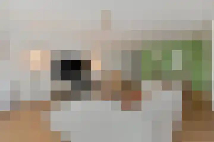 Berlijnstraat 85 Zoetermeer thumbnail 22
