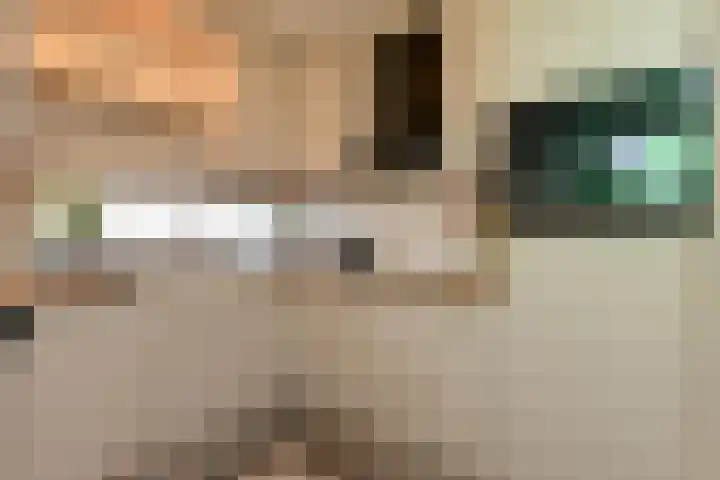 Berlijnstraat 85 Zoetermeer thumbnail 33