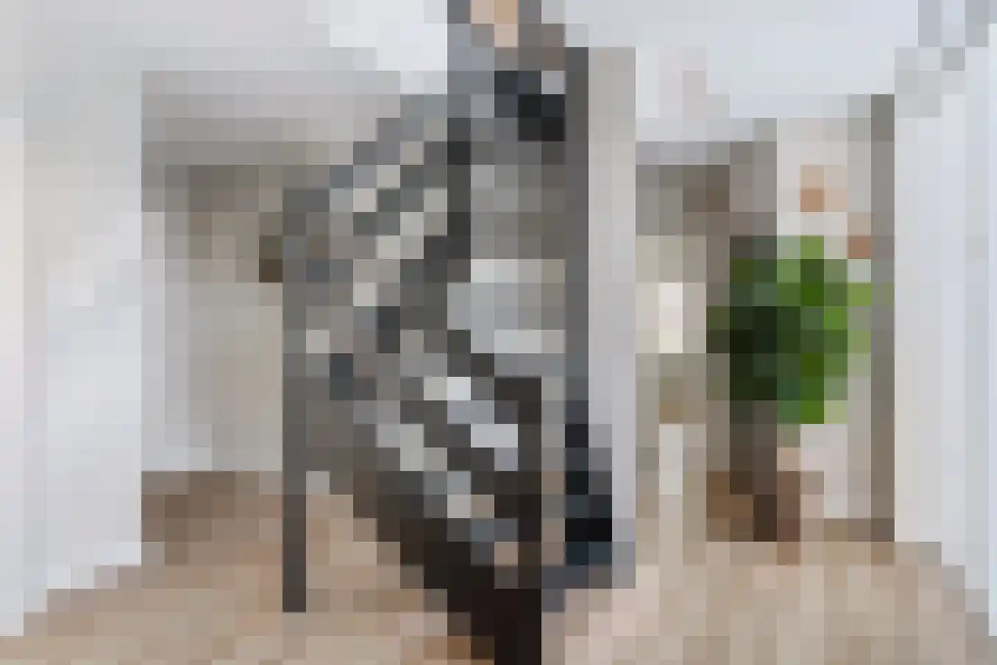 Berlikumerweg 5 Ried thumbnail 11