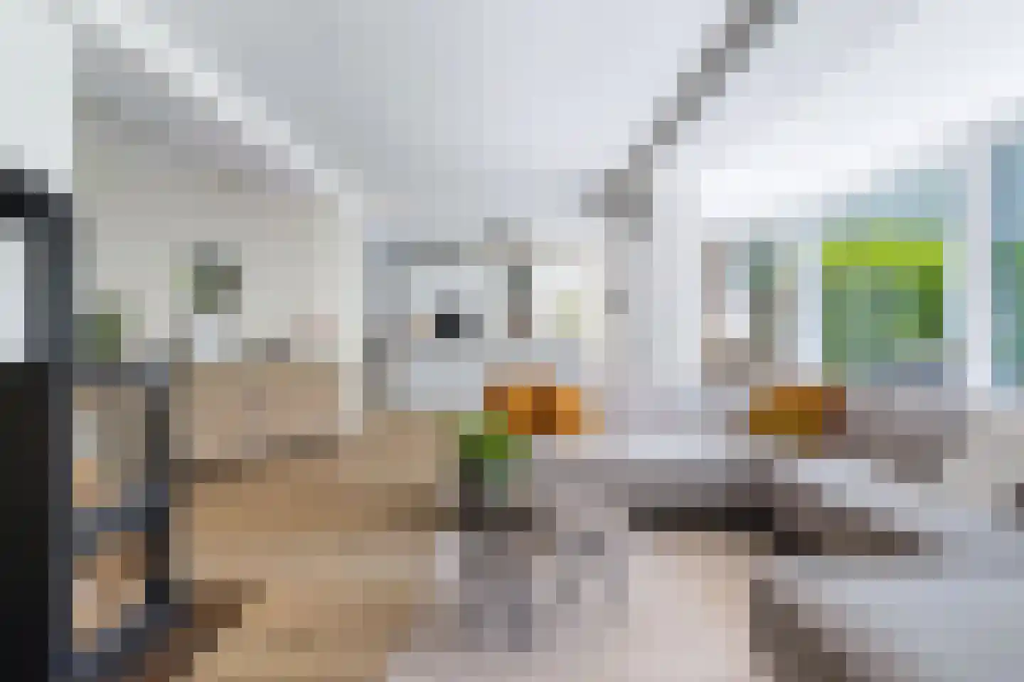 Berlikumerweg 5 Ried thumbnail 15