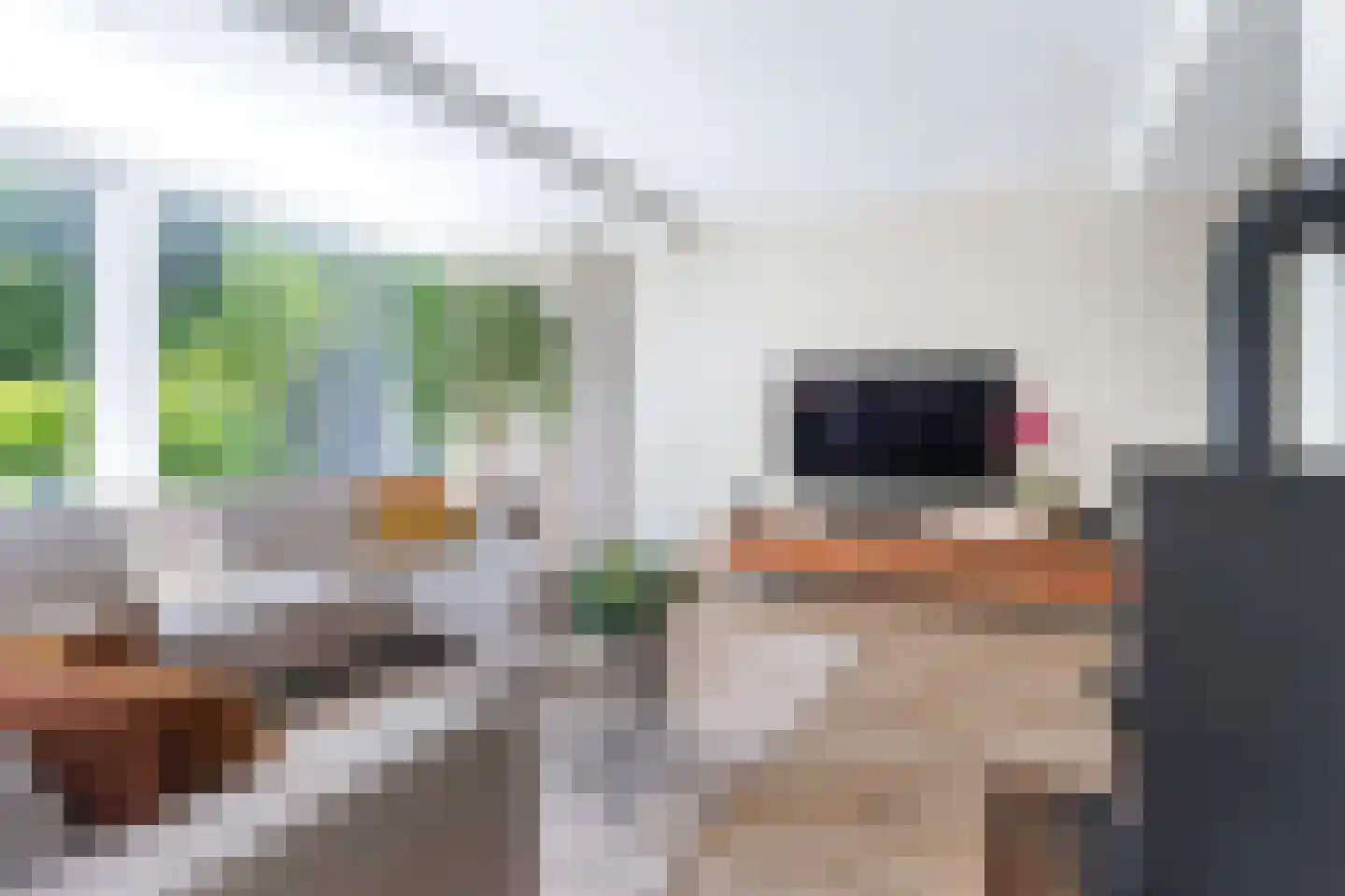 Berlikumerweg 5 Ried thumbnail 19