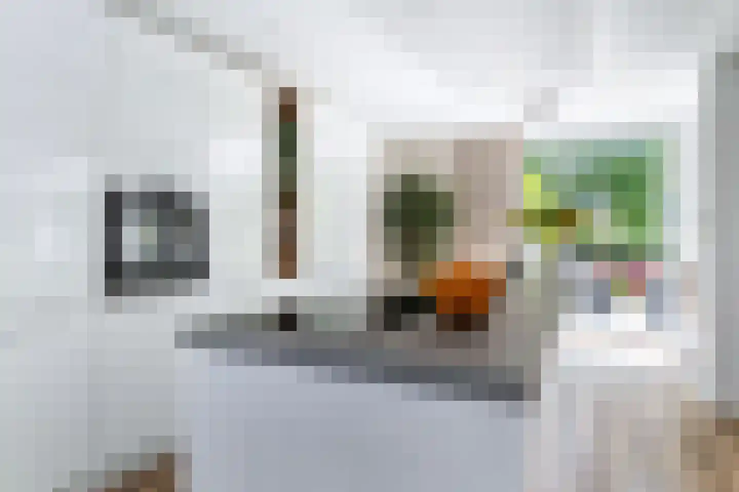 Berlikumerweg 5 Ried thumbnail 22