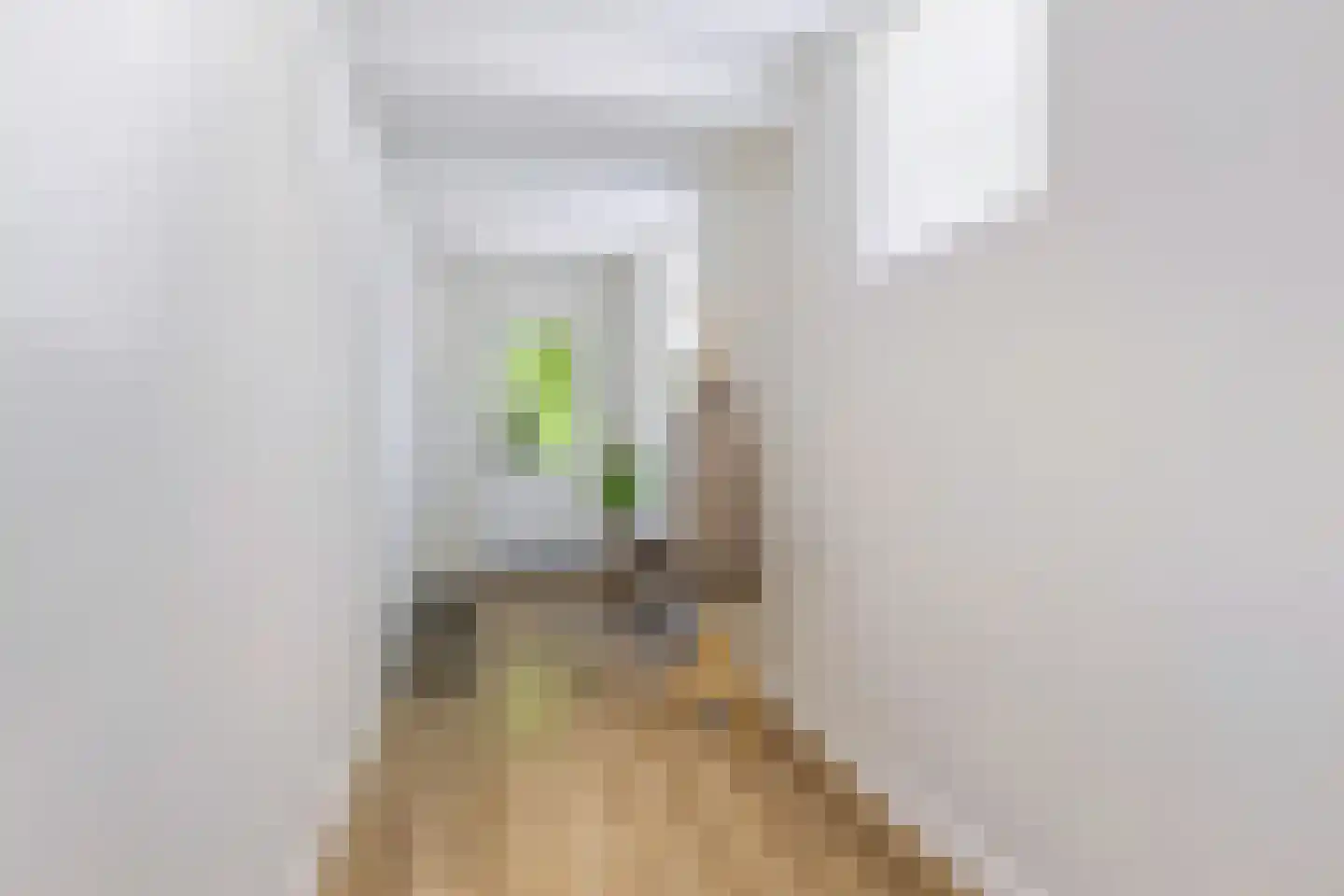 Berlikumerweg 5 Ried thumbnail 31