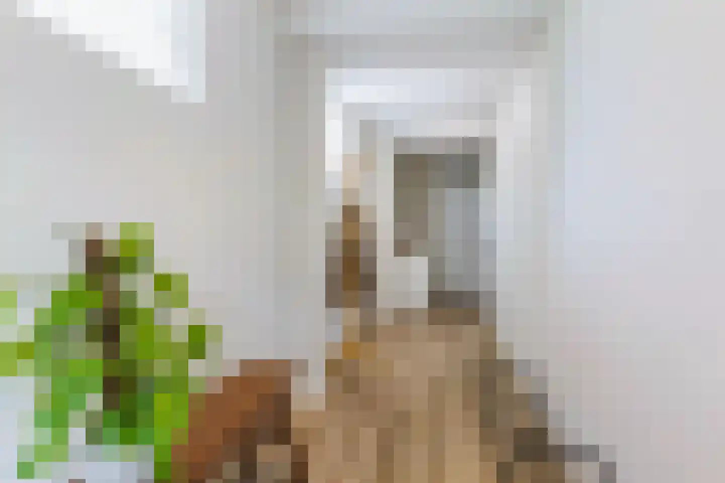 Berlikumerweg 5 Ried thumbnail 33