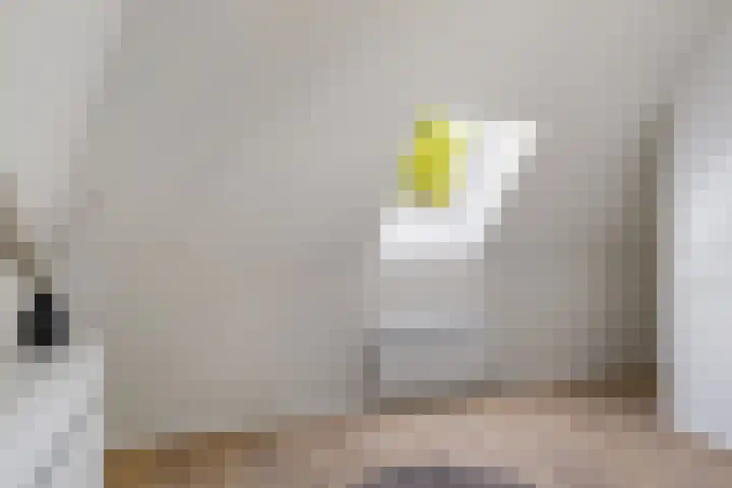 Berlikumerweg 5 Ried thumbnail 52