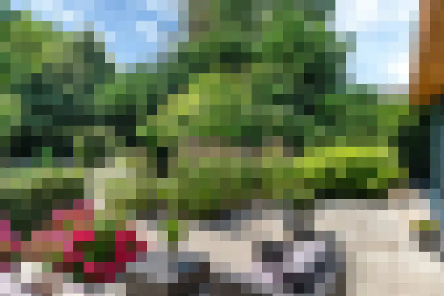Berlikumerweg 5 Ried thumbnail 60