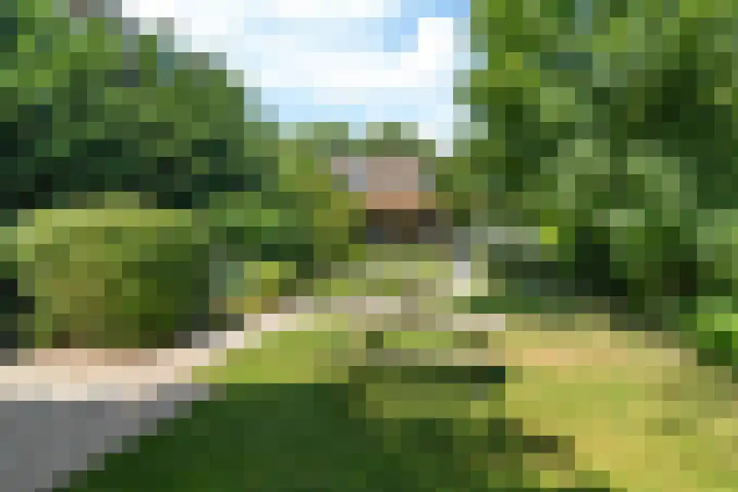 Berlikumerweg 5 Ried thumbnail 63