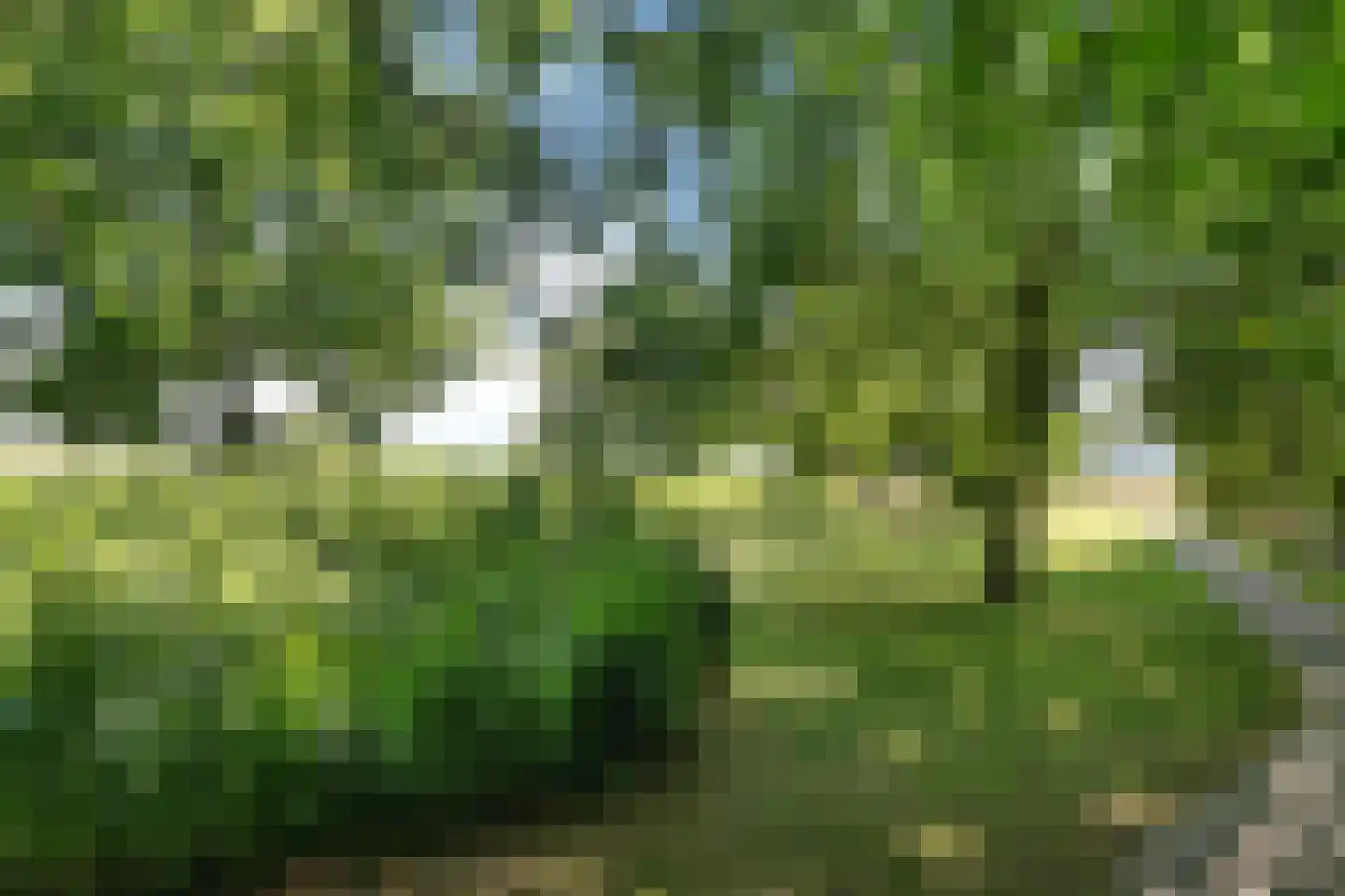 Berlikumerweg 5 Ried thumbnail 64